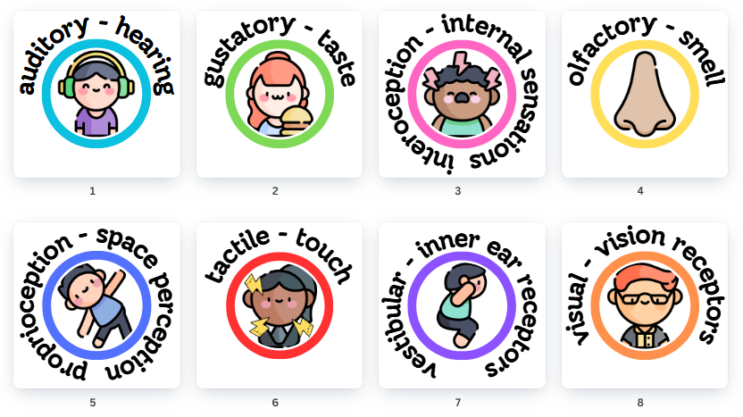 the_8_senses.jpeg