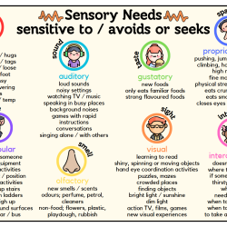 Poster: Sensory Avoider or Seeker