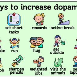 Hormones: Dopamine