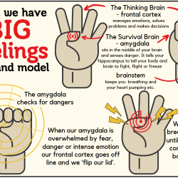 POSTER: Big Feelings Hand Model
