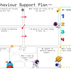 My Behaviour Support Plan