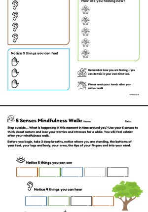 5 Senses Mindfulness Walk