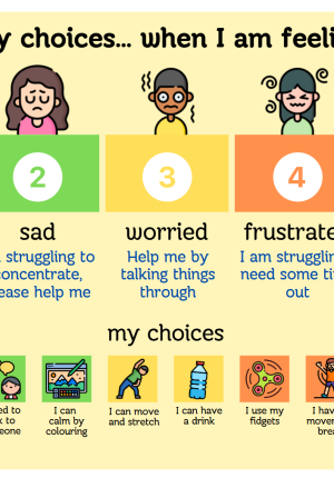 My Choices - When I am feeling