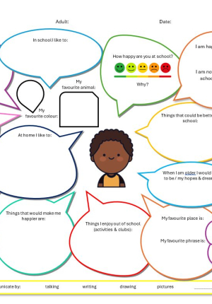 ❂ Pupil Voice for IEPs & EHCP Reviews