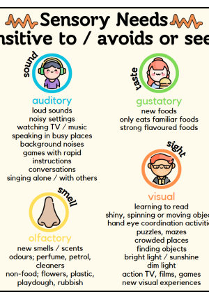 Poster: Sensory Avoider or Seeker