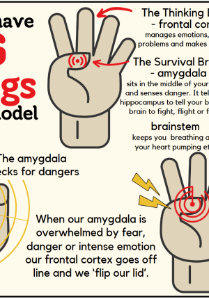 POSTER: Big Feelings Hand Model