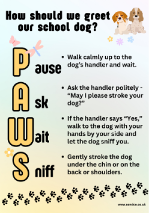 POSTER: How should we greet our school dog?