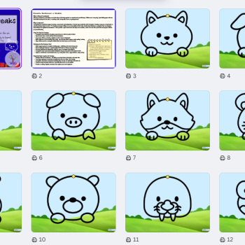 Animal Faces - Quick Brain Breaks