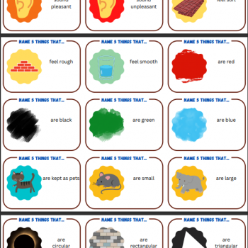 Name 5 Things That...