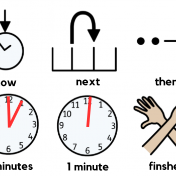 Lanyard Cards - 4x 6 Visual cues