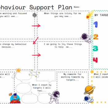 My Behaviour Support Plan