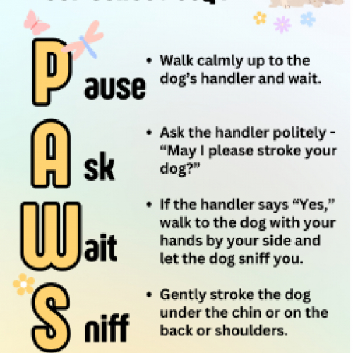 POSTER: How should we greet our school dog?